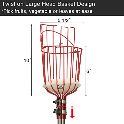 DonSail DnSail Fruit Picker Pole Tool with Basket Telescoping - Adjustable Mango Picker 35-68 inch Long Handle - Apple Orange Avocado Acorn Lemon Pear Pomelo Chery Picker for Tree 35-68"