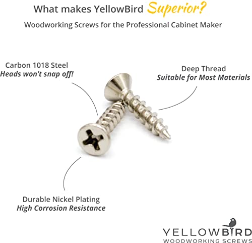 Yellowbird #6 x 3/4" European Concealed Hinge Screw - Flat Head Phillips - Nickel Wood - Bit Included - 1000 Ct. 3/4"