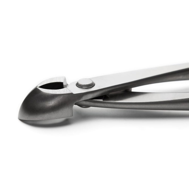 tianbonsai Bonsai Tools 205 Mm Round Edge Cutter Multifunctional Bonsai Cutter With Both Straight Edge And Round Edge