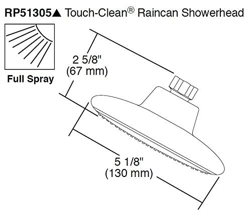 Delta Faucet Single-Spray Touch-Clean Shower Head, Chrome RP51305