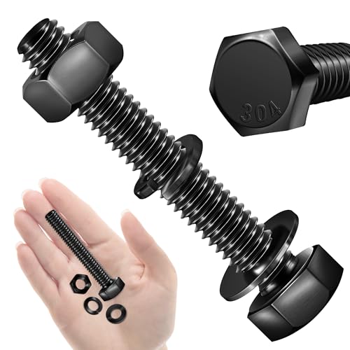 Mywish 254Pcs Nuts and Bolts Assortment Kit & (10 Sets) 5/16-18 x 2" Hex Head Bolts,Heavy Duty 304 Stainless Steel Bolts and Nuts Kit with Flat Spring Washers