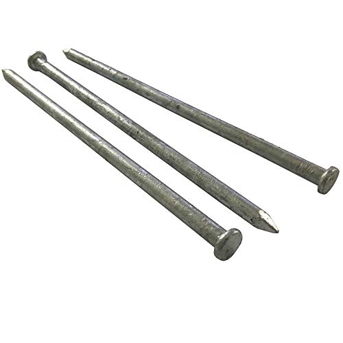 (10) 100d - Galvanized Spike nail - (10) Pack
