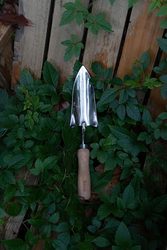Rooty Gardening Tool Set 3 Pieces Stainless Steel Heavy Duty Gardening Kit Includes 2 Sizes of Hand Trowels and Cultivator Easy for Garden Cultivating Soil Lossening Transplanting Digging Garden Tool Set 3