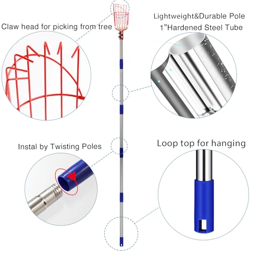 DonSail DnSail Fruit Picker Pole Tool with Basket Telescoping - Adjustable Mango Picker 35-68 inch Long Handle - Apple Orange Avocado Acorn Lemon Pear Pomelo Chery Picker for Tree 35-68"