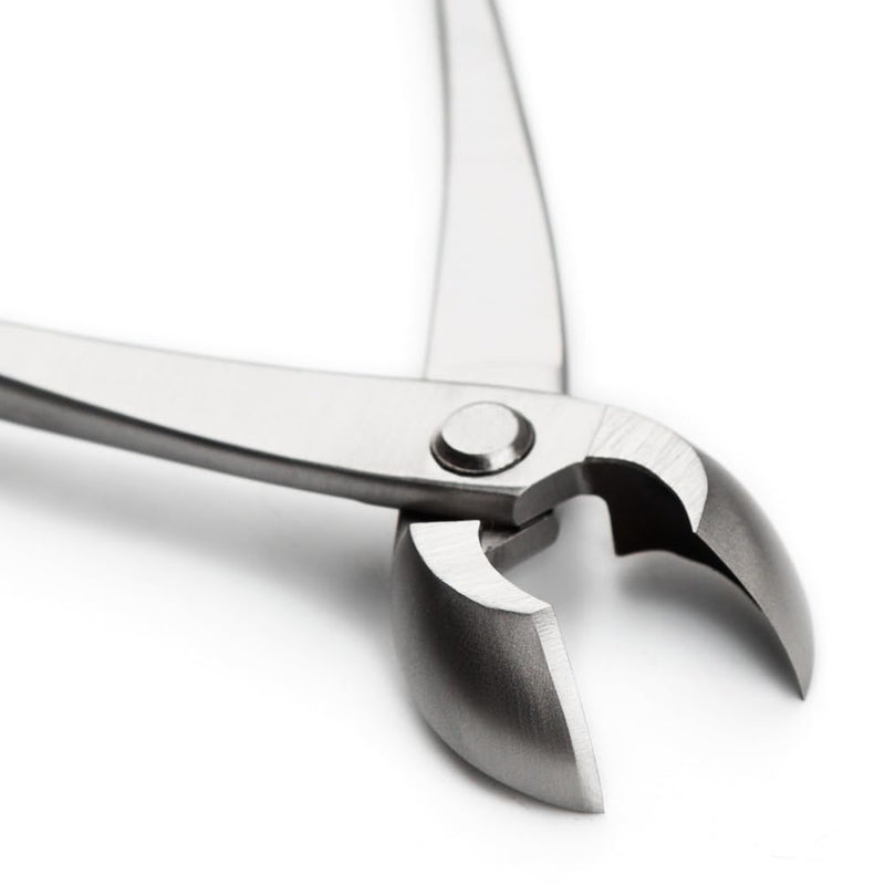 tianbonsai Bonsai Tools 205 Mm Round Edge Cutter Multifunctional Bonsai Cutter With Both Straight Edge And Round Edge