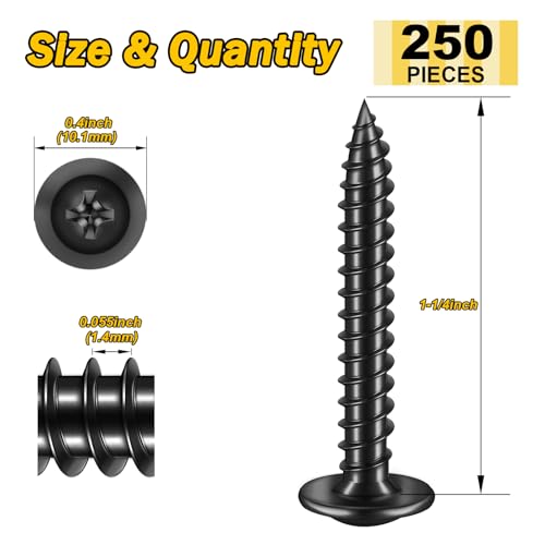 Mywish M6 x 20mm 20Pcs Flat Head Hex Socket Cap Screws Bolts & 250Pcs #8 × 1-1/4 inch Phillips Truss Head Wood Screws, Stainless Steel Screws, Quick Metal Self Tapping, Furniture Bolts Full Thread