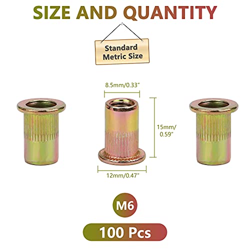 100pcs M6 Rivet Nuts, M6 Flat Head Rivnut Threaded Insert Nuts with Knurled Body, Metric Zinc Plated Carbon Steel Insert Nutsert for Automotive, Furniture, Decoration Brand: PRECIHW (Pack of 2) M6 (Pack of 2)