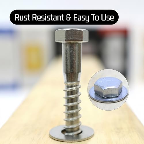 Bolt Dropper 25 Pack 3/8 x 4 Inch Stainless Steel Lag Bolts - Hex Head Screws with Coarse Threads - Heavy Duty 304 Grade Rust Resistant Coach Bolts for Wood and Outdoor Projects - Plain Finish 3/8" x 4" - 25pcs