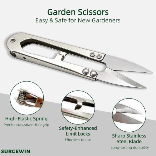 4-in-1 Seed Starter Kit with Mini Greenhouse & Tools