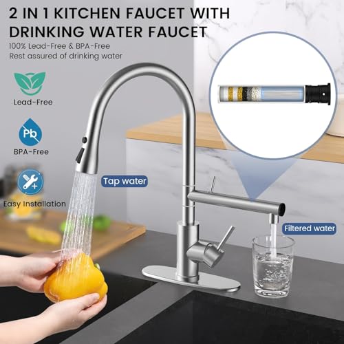 FEELSO Kitchen Faucets with Filter + 2 Pack Replacement Filters FL1