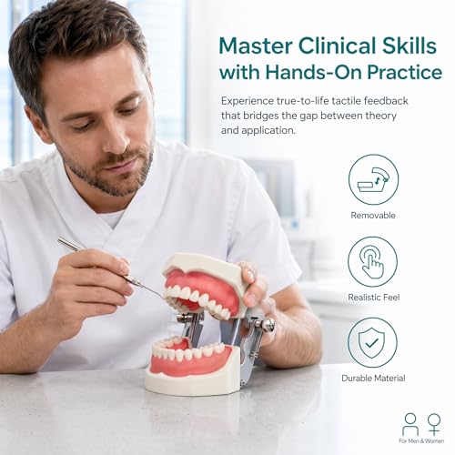 TM-021 Dental Typodont Teeth Model Complete Removable Teaching Tools Typodont Joints Anatomy Teeth Model 28 Removable Teeth with a