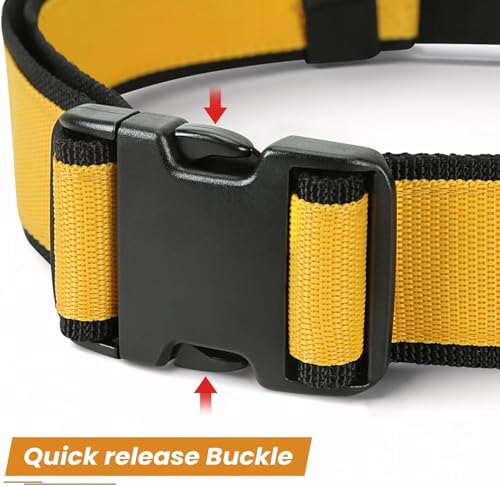 Tool Pouch and Tool Belt