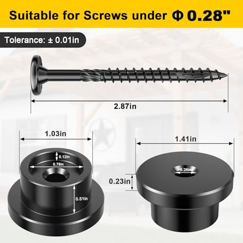 Carbon Steel Cap Nuts and Screw Assortment 16