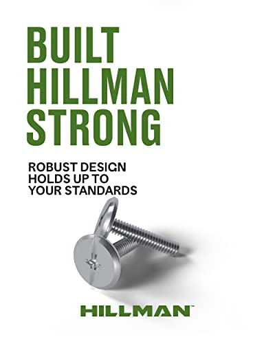 Hillman 100 Pcs Stainless Steel Hurricane Bolts (1/4"-20 x 1") | Phillips and Slotted Drive Storm Panel Bolts | Corrosion Resistant Fasteners for Storefronts and Sliding Glass Doors 1/4" x 1" 100 Pieces