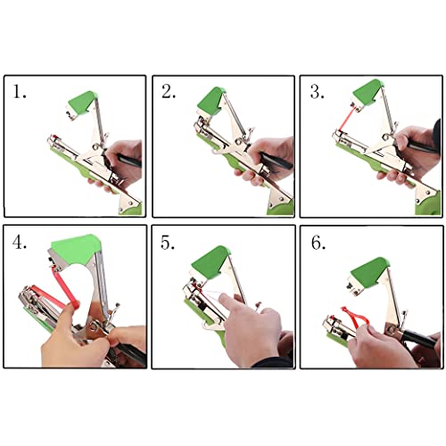 Plant Tying Machine Tool,Plant Tape Gun with 10000pcs Staples 20 Rolls Tape and Replacement Blade for Grapes,Raspberries,Tomatoes and Vining Vegetables Tying Tool(Green) Green