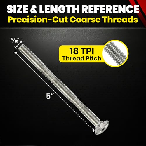 Chenango Supply 5/16-18 x 5" Stainless Carriage Bolts 5/16-18x5