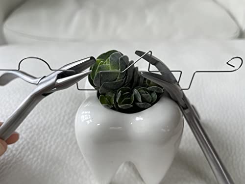 MedAT-Z 2026 | 50 x Exercise Wire, 0.7 mm Thick, in Sturdy Packaging, Wire for the Selection Process for Dentistry Studies in Austria with Original Eyelet, Manual Skills, Bending Wire