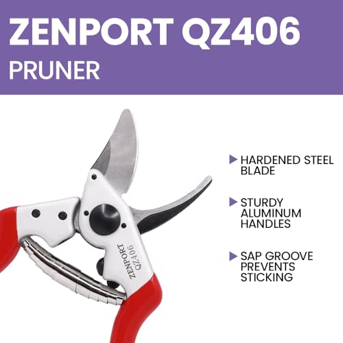 QZ406 Small Professional Pruner and HJ261 Leather Pruner Sheath