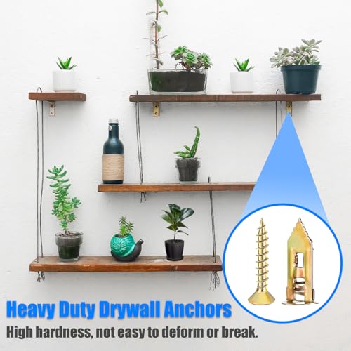 192Pcs 1/8 Inch Toggle Bolts, Butterfly Anchors + 336Pcs Heavy Duty Drywall Anchors and Screws Assortment Kit