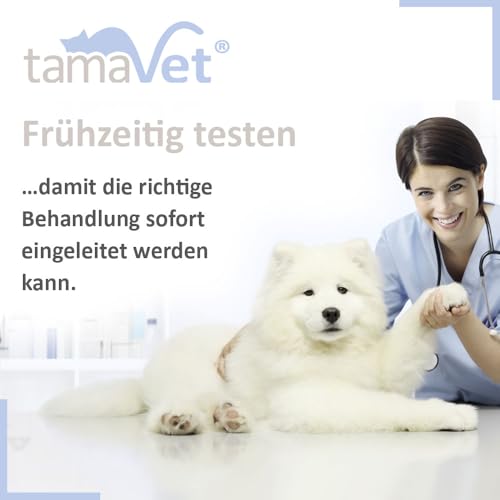 2 x Giardia Quick Test Dog & Cat – Immediate Confidence About Your Pet's Health in Diarrhoea and Intestinal Parasites – For Detection of Giardia Antigens in Animal Faeces