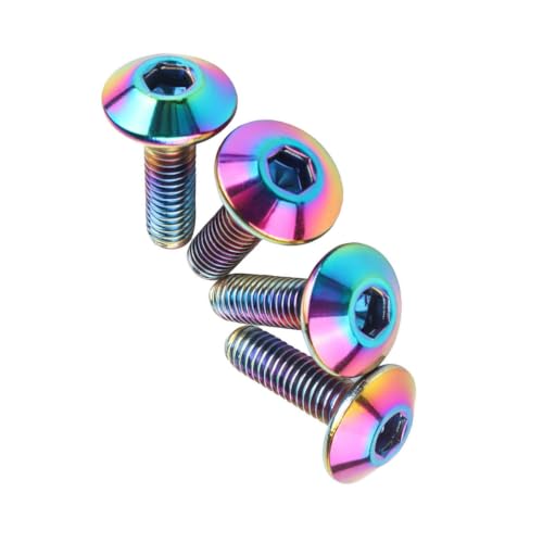M5 M6x12 16 20mm Titanium Finish Bolt Allen Stainless Steel for Bicycle Motorcycle Modifications Screw 4Pcs (Ranibow, M5X12mm) Ranibow