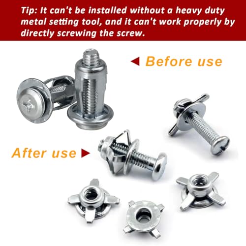 Molly Bolts for Drywall Plaster Walls (0.01"-0.19"), 40 PCS in 4 Sizes, Heavy Duty Hollow Wall Anchors with Setting Tool