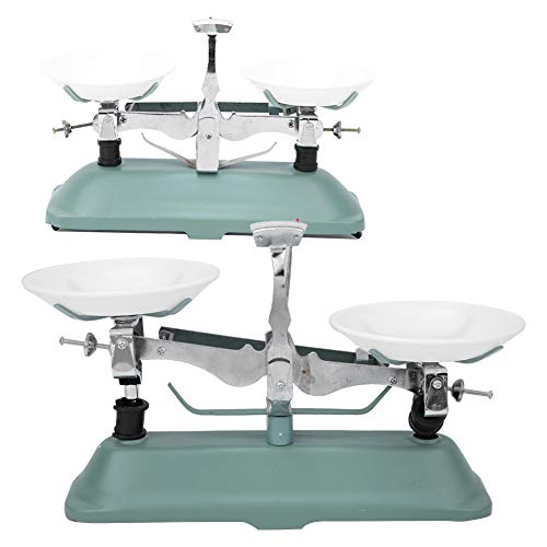Fdit Mechanical Scales Double Tub Scales Tray Table Scales for Laboratory Lessons Physics Accessories Various Weights (100 g) 100G