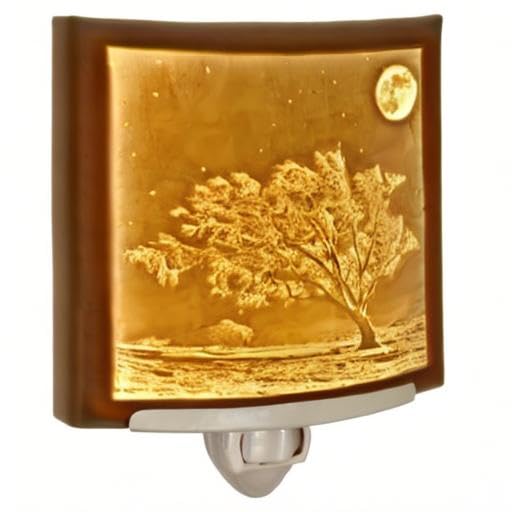 The Porcelain Garden Moon Night Light-Porcelain Lithophane Frosty Moon, Wall Plug in for Nursery, Kitchen, Bath, Nature Accent Light