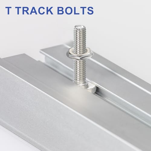 PATIKIL M8 x 40 mm T Slot Bolts, 20 Pcs 304 Stainless Steel Drop-in Bolt T Shape Stud Sliding Screw Metric Thread Hammer Head Bolt for T Track, Silver M8x40mm