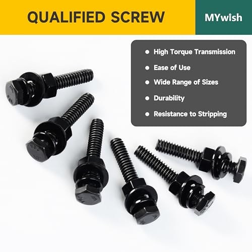 Mywish 448PCS M5 M6 M8 Screw Set, Metric Bolt Assortment, 304 Stainless Steel, Nuts and Bolts Set Flat & Spring Washers, Hex Head Cap Screws Bolts and Nuts Kit, Fully Thread & Black Oxided