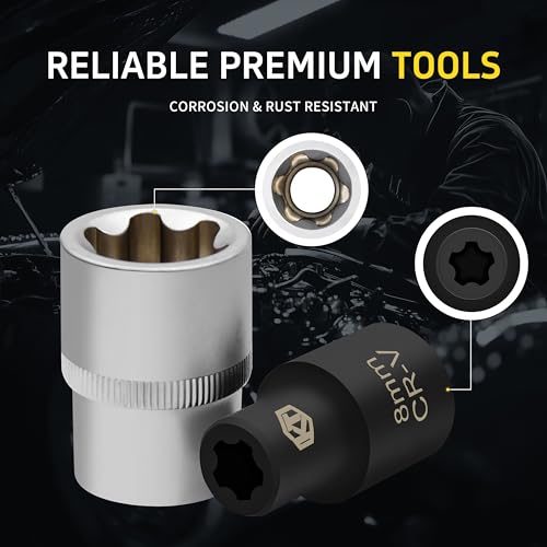 15pc External Torx Plus Socket Set Compatible with Tesla, 6 Point EP Sockets EP4, EP5, EP6, EP7, EP8, EP10, EP11, EP12, EP14, EP16, EP18, EP20, EP22, EP24 with 1/2'' 3/8'' 1/4'', Silver