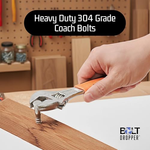 Bolt Dropper 25 Pack 3/8 x 4 Inch Stainless Steel Lag Bolts - Hex Head Screws with Coarse Threads - Heavy Duty 304 Grade Rust Resistant Coach Bolts for Wood and Outdoor Projects - Plain Finish 3/8" x 4" - 25pcs