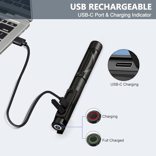 Diagnostic Light, Medical Pupil Light, Rechargeable USB, 3-Colour Light, Portable LED Pen Lamp with Pocket Clip for Nurses, Students, Doctors klein