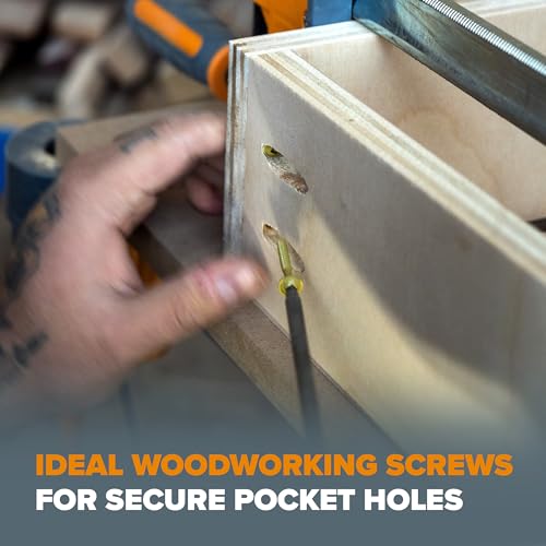 Bora Pocket Hole Screws - 2 Inch (200 Piece) - Fine Thread 2 inch (200 Piece)