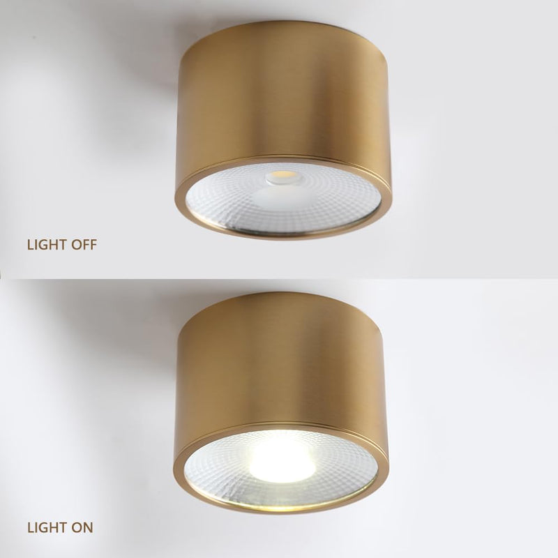 Sedelan Brass Ceiling Spot Lights Indoor, LED Ceiling Spot Light, Cylinder Small Ceiling Spotlight, Dimmable Ceiling Lights for Kitchen Hallway Dining Room Foyer, 4500K 7W LED Light-D4.72"