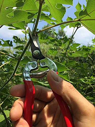 gonicc 8" Professional Ratchet Anvil Pruning Shears (GPPS-1011) andMicro-Tip Pruning Snip (GPPS-1008), Ratcheting Mechanism, Anvil Groove Design, Reinforced Design Handle, Garden Shears Clippers,