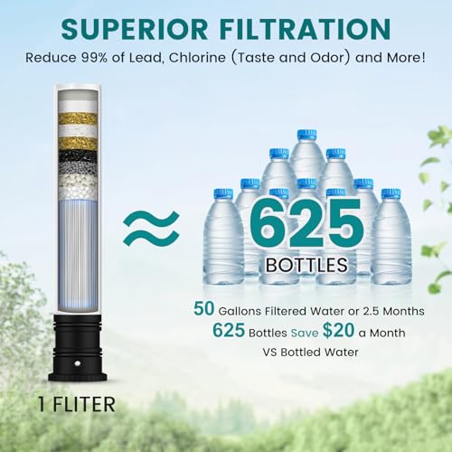FEELSO Kitchen Faucets with Filter + 2 Pack Replacement Filters FL1