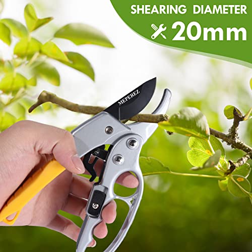 Professional pet nail clippers & garden pruning shears set