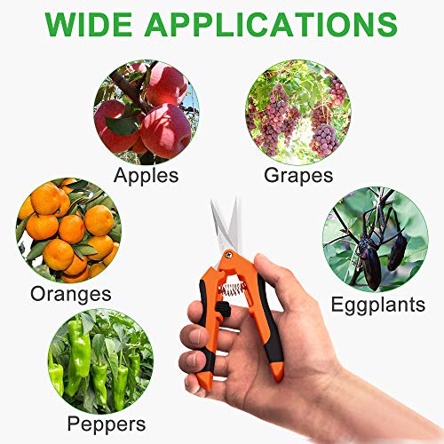 GROWNEER 3 Packs Pruning Shears with Curved Precision Blades, 6 Packs Pruning Shears with Straight Blades Gardening Hand Pruning Snips