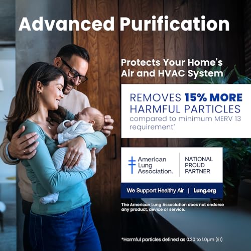 AprilAire 813 Replacement Filter for AprilAire Whole House Air Purifier 2025FG - MERV 13, Healthy Home Allergy, 20x25x4 Air Filter (Pack of 1) Healthy Air 13