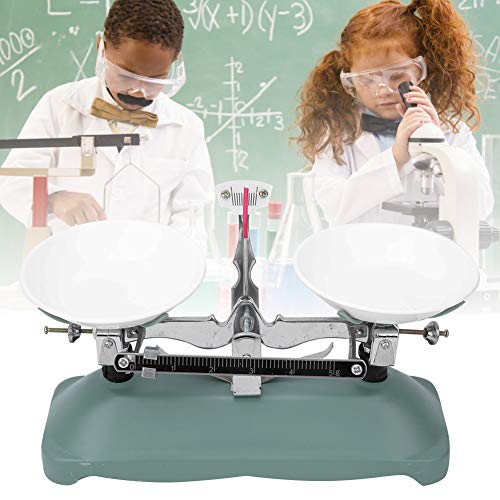 Fdit Mechanical Scales Double Tub Scales Tray Table Scales for Laboratory Lessons Physics Accessories Various Weights (100 g) 100G