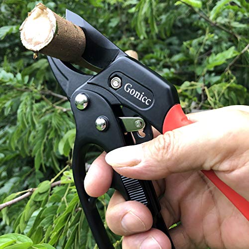 gonicc 8" Professional Ratchet Anvil Pruning Shears (GPPS-1011) and Premium Titanium Bypass Pruning Shears (GPPS-1003), Ratcheting Mechanism, Anvil Groove Design, Garden Shears Clippers, Anvil Pruner,