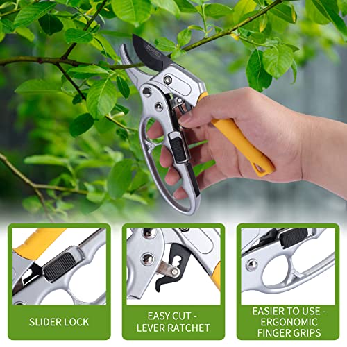 Ultra Sharp Germany Steel Pruning Shears & thorn proof gardening gloves