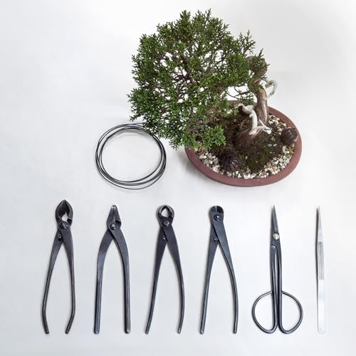 M METERXITY 3Peice Bonsai Tool Set - 8.3 Inch High Carbon Steel Knob Concave Cutter, Bonsai Tree Plants Modeling Tools, Applying to Gardening Pruning Branches/Knobs/Tumors (210mm, Gray)