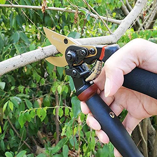 gonicc 8.5" Professional Rotating Bypass Titanium Coated Pruning Shears(GPPS-1014) and Micro-Tip Pruning Snip (GPPS-1008), Pruners with Heavy Duty SK5 Blade. Soft Cushion Grip Handle for Everyone.