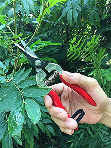 gonicc 8.5" Professional Rotating Bypass Titanium Coated Pruning Shears(GPPS-1014) and Micro-Tip Pruning Snip (GPPS-1008), Pruners with Heavy Duty SK5 Blade. Soft Cushion Grip Handle for Everyone.