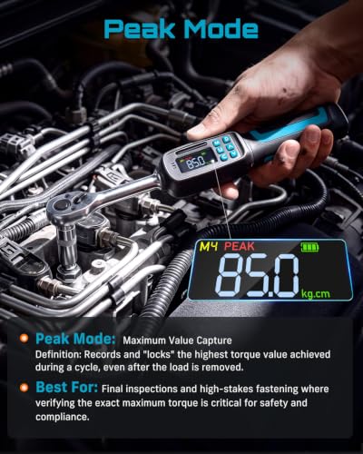 Seesii Digital Torque Wrench 3/8" Drive (2.95-99.6 ft.lbs / 4-135 N.m)
