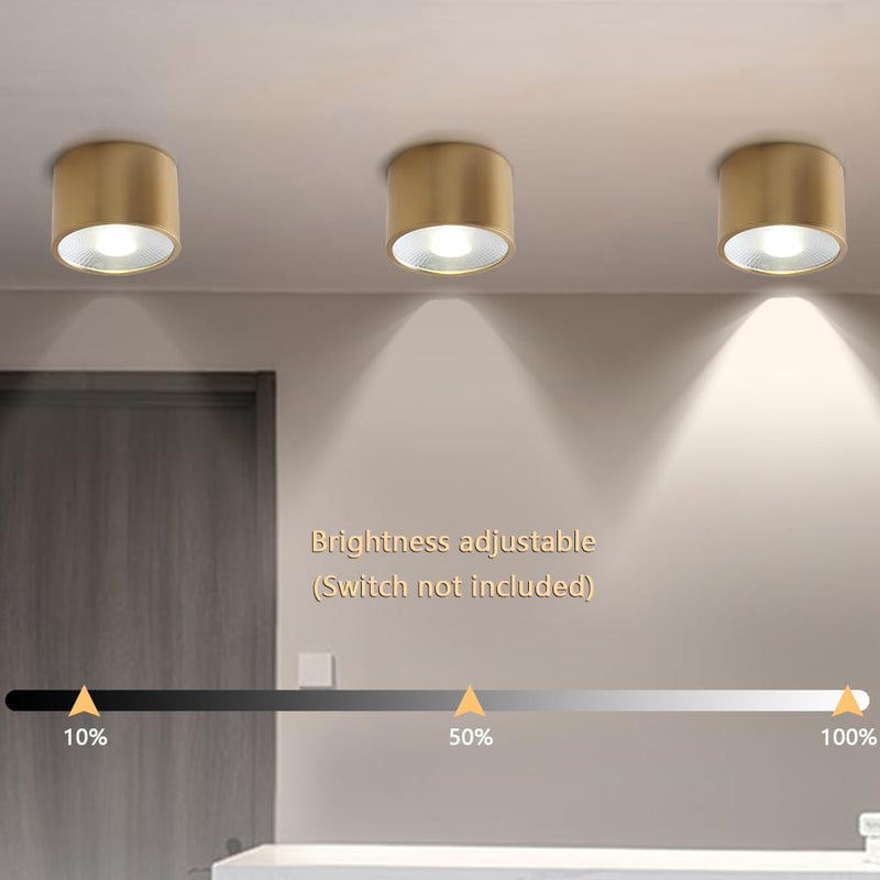 Sedelan Brass Ceiling Spot Lights Indoor, LED Ceiling Spot Light, Cylinder Small Ceiling Spotlight, Dimmable Ceiling Lights for Kitchen Hallway Dining Room Foyer, 4500K 7W LED Light-D4.72"