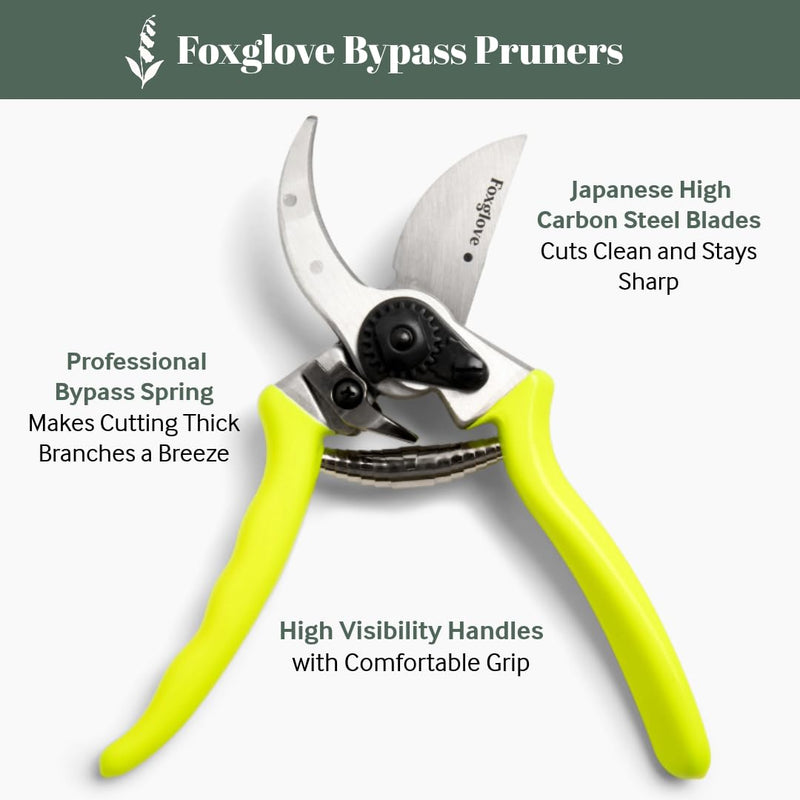 Foxglove 8.5" Pruning Shears – Professional Garden Shears & Bypass Hand Pruners with Japanese SK5 High Carbon Steel Blades, Heavy Duty Garden Clippers & Gardening Tools