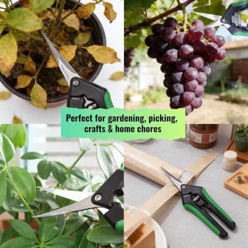 LDK 12 Pack Curved Blades Gardening Hand Pruner Pruning Snip